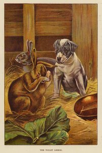 Toiletundervisningen (farve litho) af English School