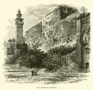Tårnet af Antonia af English School