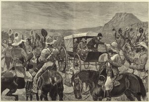 Transvaalkrigen