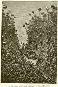 Den rejsende Giraud midt i rørene ved Bangweolo-søen af English School