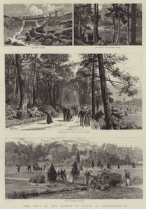 Prinsen af Wales besøg i Bournemouth (gravering) af English School