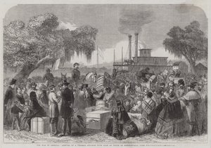 The War in America, Ankomst af et føderalt dampskib med våbenhvilens flag ved Madisonville, Lake Pontchartrain (gravering) af English School