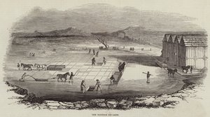 Wenham Ice Lake (gravering) af English School