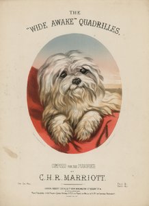 The Wide Awake Quadrilles af English School