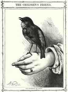 The Woodhall Spa Robin (gravering) af English School
