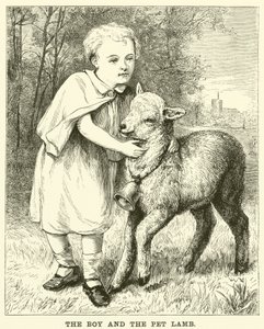 Drengen og kæledyrslammet (gravering) af English School