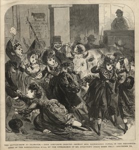 Kvægudstillingen i Islington af English School