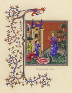 Kristi indtog i Jerusalem (farve litho) af English School
