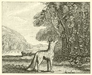 Ræven og druerne (gravering) af English School