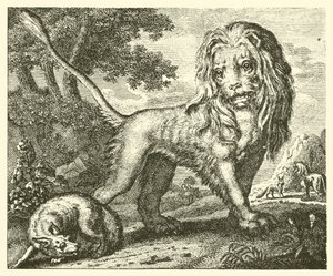 Ræven og løven (kobberstik) af English School