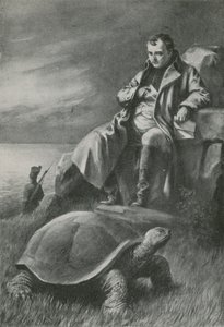 Den kæmpe skildpadde, der så Napoleon af English School