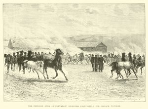 Der kaiserliche Hengst in Prevallie, ausschließlich für die Kosakenkavallerie reserviert