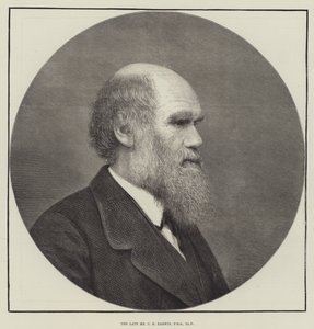 Afdøde hr. CR Darwin, FRS, LLD af English School