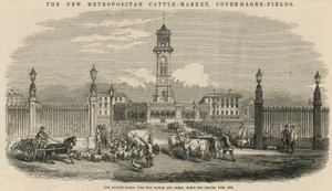 Det nye Metropolitan Kvægmarked, Copenhagen Fields