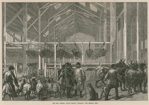 Det nye udenlandske kvægmarked, Deptford, London - det centrale stald af English School