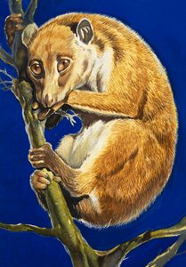 Pottoen af English School