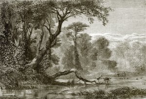 Floden Phasis af English School