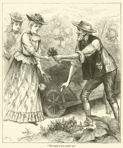 "The roses is just comin