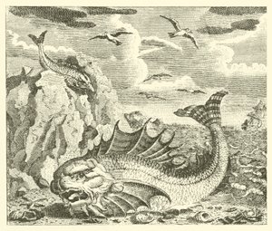 Tunfisken og delfinen (gravering) af English School