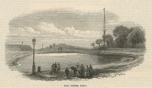Den øverste dam, Hampstead Heath af English School