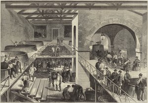 Årgang af Medoc af English School