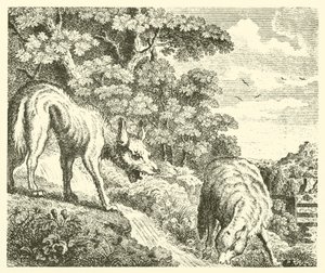 Ulven og lammet (gravering) af English School