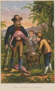 Den sårede flamingo af English School