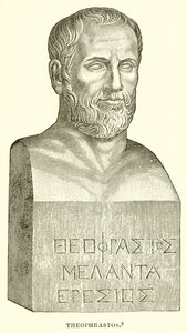 Theophrastos af English School