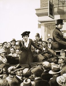 Dette har skabt nyheder: Stem på Lady Nancy af English School