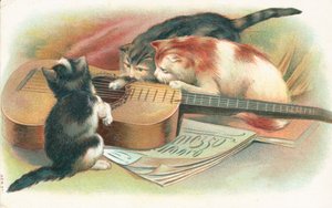 Tre katte leger med en akustisk guitar af English School