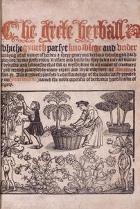 Titelside, der illustrerer en havescene med figurer, 1529 af English School