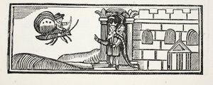 Tom gemte sig og forsøgte at flygte på ryggen af en sommerfugl, illustration fra Chap-books of the Eighteenth Century af John Ashton, pub. 1882
