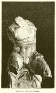 Torso af Belvedere af English School