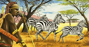 Stammemand og zebraer