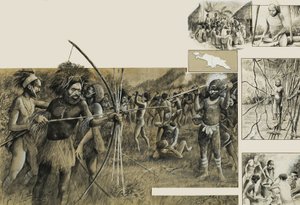 Stamme fra Ny Guinea af English School