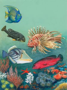 Tropisk fisk af English School