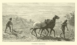 Turkoman ploughing  af English School