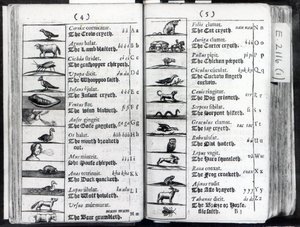 To sider fra Orbis Sensual Pictus af Comenius, 1659 af English School