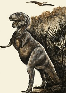 Tyrannosaurus Rex af English School