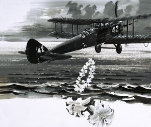 Uidentificeret biplan taber en krans af English School