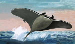 Uidentificeret flyvende fisk af English School