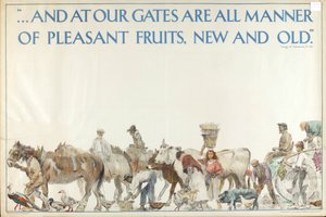 Ohne Titel, aus der Serie 