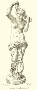 Venus Anadyomene af English School