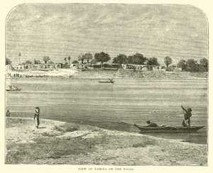 View of Yamina on the Niger  af English School