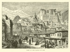 Udsigt over slottet Leh af English School