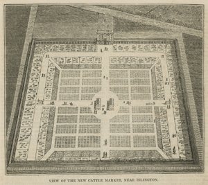Ansicht des neuen Viehmarktes bei Islington von English School