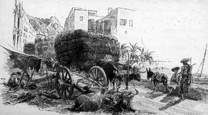 Vogne med Esparto Grass, Almeria, Spanien, fra 