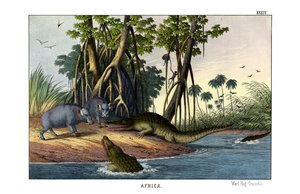 Vortesvin af English School