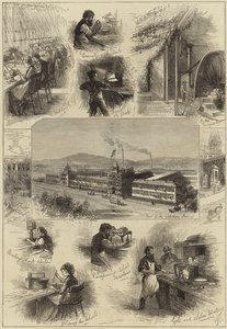 Urmageri med maskiner i Amerika af English School