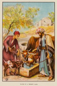 Vand i et tørstigt land (farve litho) af English School